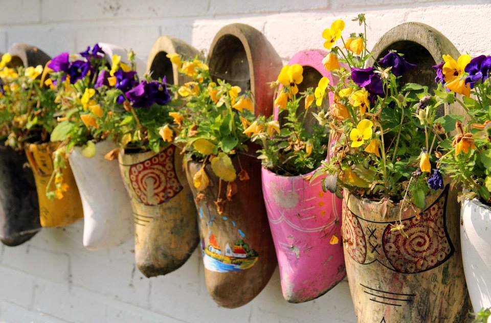 Shoe Planters